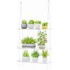 imageLifewit 3Tier Window Plant Shelves 15 inch Acrylic Adjustable Hanging Floating Shelf Window Sill Extender for Indoor Succulent Plants Micro Greens Seed Starter Pots Herb Planters1