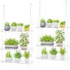 imageLifewit 3Tier Window Plant Shelves 15 inch Acrylic Adjustable Hanging Floating Shelf Window Sill Extender for Indoor Succulent Plants Micro Greens Seed Starter Pots Herb Planters2