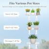 imageLifewit 6 Extra Wide amp Strong Window Plant Floating Shelves 2 Pack Heavy Duty Acrylic Suction Cup Shelf Window Sill Extender for Succulent Plants Micro Greens Seed Starter Pots Herb Planters3