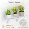 imageLifewit 6 Extra Wide amp Strong Window Plant Floating Shelves 2 Pack Heavy Duty Acrylic Suction Cup Shelf Window Sill Extender for Succulent Plants Micro Greens Seed Starter Pots Herb Planters4
