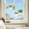 imageLifewit 6 Extra Wide amp Strong Window Plant Floating Shelves 2 Pack Heavy Duty Acrylic Suction Cup Shelf Window Sill Extender for Succulent Plants Micro Greens Seed Starter Pots Herb Planters4