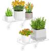 imageLifewit 6 Extra Wide amp Strong Window Plant Floating Shelves 2 Pack Heavy Duty Acrylic Suction Cup Shelf Window Sill Extender for Succulent Plants Micro Greens Seed Starter Pots Herb Planters2