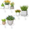 imageLifewit 6 Extra Wide amp Strong Window Plant Floating Shelves 2 Pack Heavy Duty Acrylic Suction Cup Shelf Window Sill Extender for Succulent Plants Micro Greens Seed Starter Pots Herb Planters3
