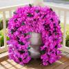 imageLifewit Artificial Bougainvillea Flowers 2 PCS Plastic Long Trailing Vines Fake Flowers for Outdoor Indoor Garden Porch Patio Balcony Decor UV Resistant Hot PinkPurple