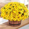imageLifewit Artificial Flowers Daisy for Outdoor Indoor 6 Bundles Plastic Fake Flowers Mums for Home Garden Decor Porch Window Box Faux Realistic Plants with UV ResistantYellowYellow