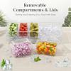 imageLifewit Chilled Condiment Containers with Lids 2 Pcs Plastic Taco Bar Serving Set for Party with 5 Containers Ice Garnish Tray for Mimosa Bar Supplies Clear Serving Platter for Fruit Salad Snack1