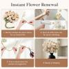 imageLifewit 5 Pcs Beige Artificial Flower for Vase Faux Silk Mums Ball with Long Stems for Home Decor Wedding Bulk Fake Small Chrysanthemums for Floral Arrangement Pom Pom for Bouquets CenterpiecesBeige