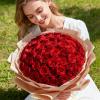 imageLifewit 50 Pcs Red Artificial Roses Flowers in Bulk Fake Long Stem Silk Roses for DIY Wedding Bouquets Centerpieces Arrangements Valentine DecorationsRed