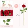 imageLifewit 50 Pcs Red Artificial Roses Flowers in Bulk Fake Long Stem Silk Roses for DIY Wedding Bouquets Centerpieces Arrangements Valentine DecorationsRed