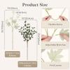 imageLifewit Beige Artificial Flower for Vase 10 Pcs Faux Silk Mums Ball with Long Stems and 2 Pcs Eucalyptus Stems for Home Decor Fake Small Kiku for Floral Arrangement Pom Pom for CenterpiecesWhite
