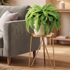image:imageLifewit Artificial Fern Bush Faux Fern Plant with 96 Large Fern Fronds43 55 Fronds