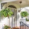 image:imageLifewit Artificial Fern Bush Faux Fern Plant with 96 Large Fern Fronds43 55 Fronds