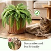 image:imageLifewit Artificial Fern Bush Faux Fern Plant with 96 Large Fern Fronds43 55 Fronds