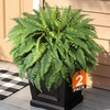 image:imageLifewit Artificial Fern Bush Faux Fern Plant with 96 Large Fern Fronds51 96 Fronds