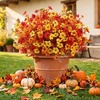 image:imageLifewit Fall Artificial Flowers for Outdoor Faux Flowers for Garden DecorSunset Orange