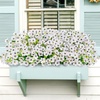 image:imageLifewit Fall Artificial Flowers for Outdoor Faux Flowers for Garden DecorWhite