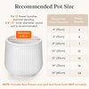 image:imageLifewit Fall Artificial Flowers for Outdoor Faux Flowers for Garden DecorWhite