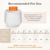 image:imageLifewit Fall Artificial Flowers for Outdoor Faux Flowers for Garden DecorWhite