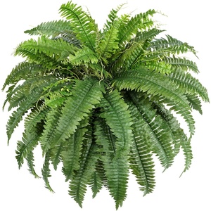 image:imageLifewit Artificial Fern Bush Faux Fern Plant with 96 Large Fern Fronds43 55 Fronds