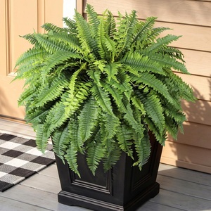 image:imageLifewit Artificial Fern Bush Faux Fern Plant with 96 Large Fern Fronds51 96 Fronds